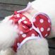 Багаторазовий підгузок для сук Derby Red polka dots, S, 24-28 см