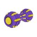 Игрушка для собак BronzeDog Jumble Звуковая гантель 17,5 см фиолетово-желтая