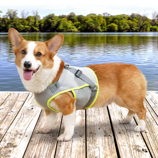 Літній охолоджуючий жилет для собак Derby Summer Dog Cooling Vest PA0357, Grey Derby