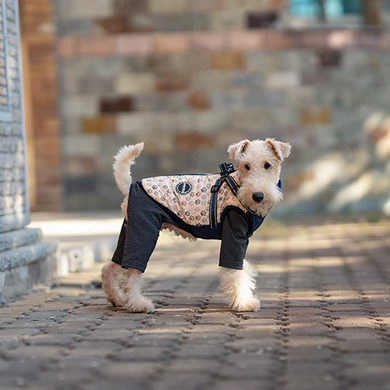 Зимова куртка для собак V.PET.B.R. Luxury Dog Jacket C519 Navy Blue V.PET.B.R
