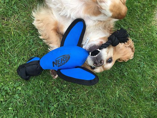 Велика нейлонова качка Nerf Dog з інтерактивним дизайном Nerf Dog