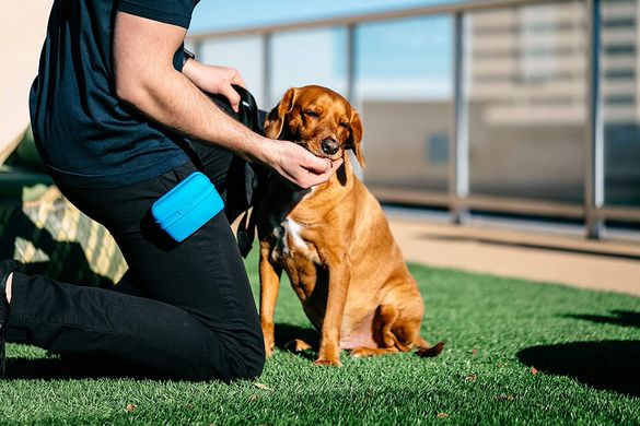 Силиконовая сумка Dexas для собачьих лакомств / тренировочных лакомств Dexas