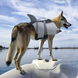 Спасательный жилет для собак Shark Design, M, 30 см, 41-63 см, 40-48 см