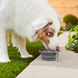 Силиконовая складная дорожная миска Derby Collapsible silicone pet bowl, Серый, 400 мл