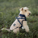 Зимова куртка для собак V.PET.B.R. Luxury Dog Jacket C519 Navy Blue, S, 22,5 см, 39 см, 27 см