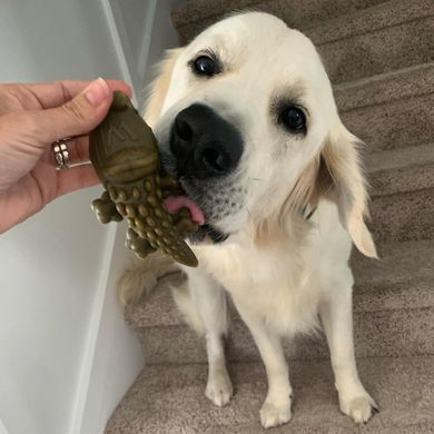Натуральные лакомства для зубов собак WHIMZEES Dental Treats Alligator, 1 шт. WHIMZEES