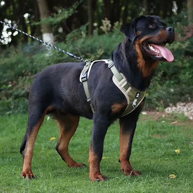 Нейлоновая двухсторонняя тактическая шлейка для собак Tactical Dog Harness Derby