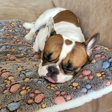 Плед для домашних животных Soft Pet Bed Cushion, Coffee Derby