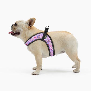 Шлея HiDog COMFORT "Flowers pink" HiDog