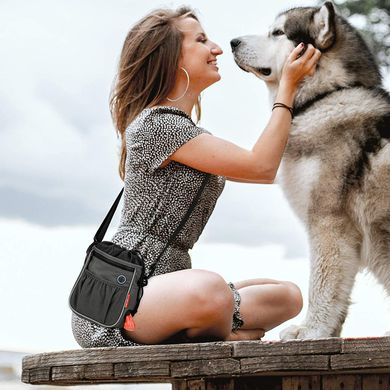 Сумка для выгула и дрессировок BABEYER Dog Treat Pouch, Grey