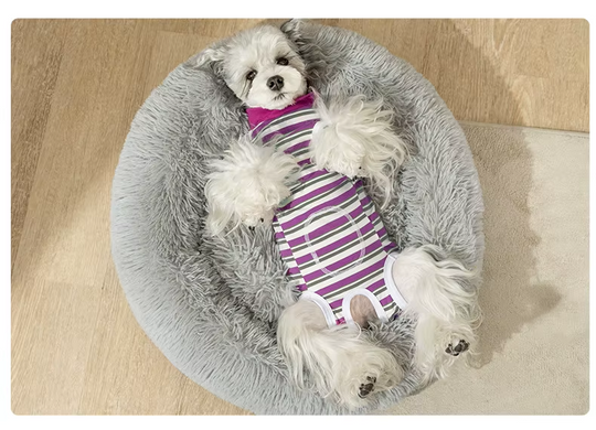 Боди для восстановления собак ZHONGRU Recovery Suit, Rose Red stripes