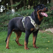 Нейлоновая двухсторонняя тактическая шлейка для собак Tactical Dog Harness, X-Large