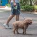Міцний повідок-рулетка KZWUS для собак середніх і малих розмірів, Зелений, Small/Medium