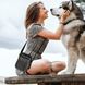 Сумка для вигулу і дресирувань BABEYER Dog Treat Pouch, Grey