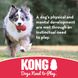 Суперпрочный мяч для собак KONG Extreme Ball, Medium/Large