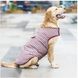 Зимове пальто для собак Segarty в клітинку, XS, 17 см, 33 см, 20 см