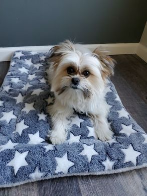 Плед для домашних животных Soft Pet Bed Cushion, Blue W Star Derby
