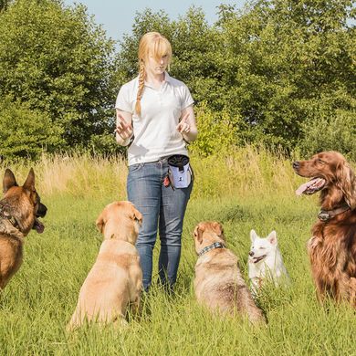 Сумка для выгула и дрессировок Reettic Dog Treat Pouch