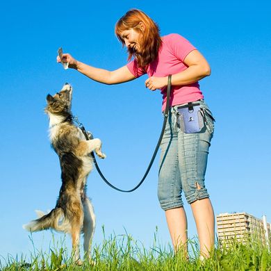 Сумка для вигулу і дресирувань Reettic Dog Treat Pouch