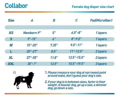Багаторазовий підгузок для сук COLLABOR Pretty Girl DCS004-11 без отвору для хвоста COLLABOR