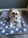 Плед для домашних животных Soft Pet Bed Cushion, Blue W Star, 60х80 см