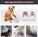 Костюм для відновлення собак Derby Stop Licking Dog Recovery Shirt, Pink, S, 25 см, 58 см, 30 см