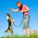 Сумка для вигулу і дресирувань Reettic Dog Treat Pouch