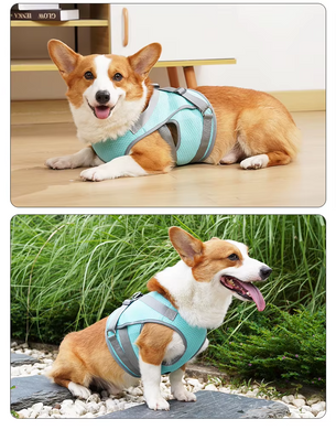 Летний охлаждающий жилет для собак Derby Summer Dog Cooling Vest PA0357, Turquoise Derby