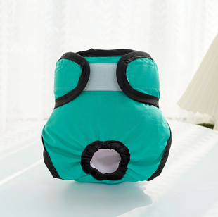 Багаторазовий підгузок для сук Derby Turquoise Style Derby