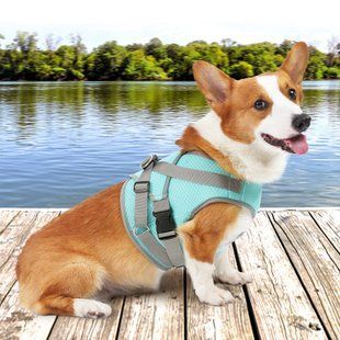 Літній охолоджуючий жилет для собак Derby Summer Dog Cooling Vest PA0357, Turquoise Derby
