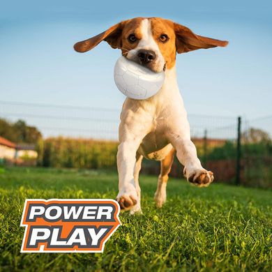 Футбольний м'яч для собак Nylabone Power Play Dog Basketball B-Ball Nylabone