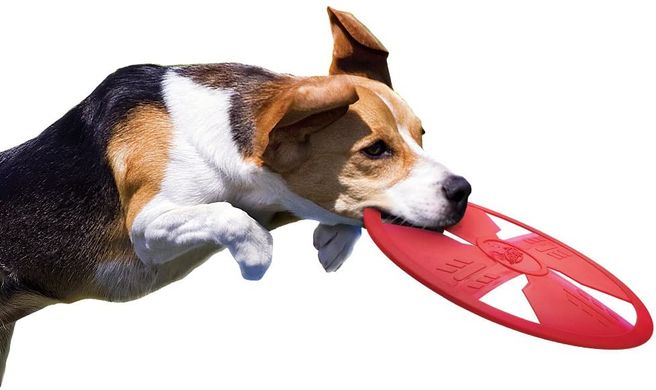 Фрізбі для собак Nerf Dog TPR Float Flyer Nerf Dog