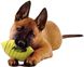 Футбольный мяч для собак Nerf Dog Squeak, Зелёный, Medium/Large