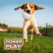Футбольний м'яч для собак Nylabone Power Play Dog Basketball B-Ball, Medium