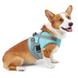 Летний охлаждающий жилет для собак Derby Summer Dog Cooling Vest PA0357, Turquoise, S, 37-47 см, 25-35 см
