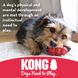 Жевательная кость для щенков KONG Puppy Goodie Bone, Розовый, Small