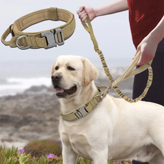Тактичний нашийник з повідцем та металевою фурнітурою для собак