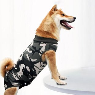 Послеоперационная попона Derby Fashion Style Camouflage Derby