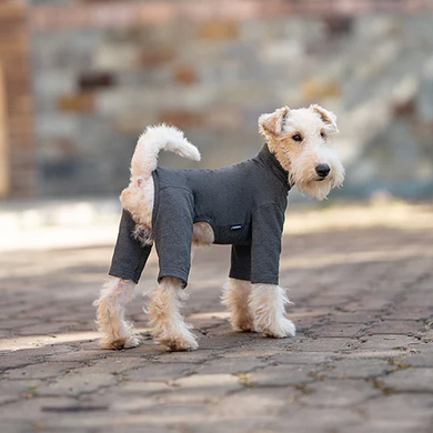 Базовий комбінезон/піжама для собак V.PET.B.R. Dog Jumpsuit CF36 Dark Grey V.PET.B.R