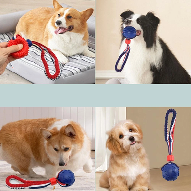 Інтерактивна іграшка для дресирування собак Derby Tug Ball Toy Derby