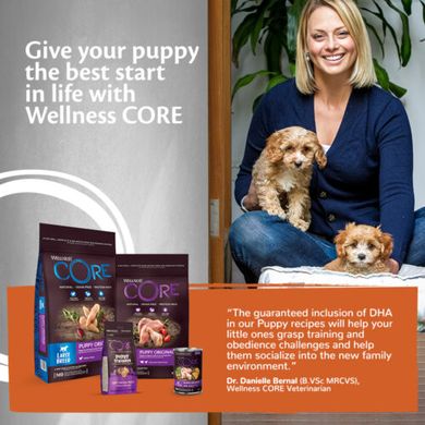 Ласощі для цуценят Wellness Core Puppy Trainers Chicken Flavoured з куркою та морквою Wellness CORE