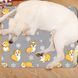 Охолоджуючий килимок для собак і котів Grey Corgi Summer Cooling Mat, 60х90 см