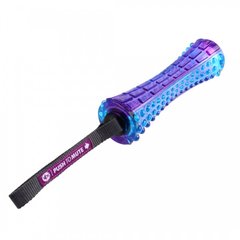 Іграшка для Собак Gigwi Push To Mute зі Звуком, що вимикається Фіолетовий / Синій 20 см GiGwi