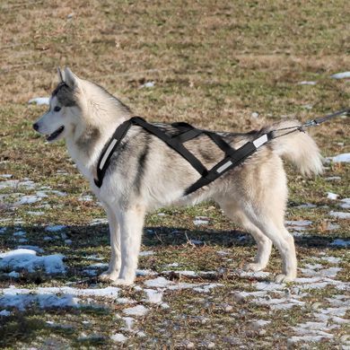 Тягова шлейка для собак V.PET.B.R H6 V.PET.B.R