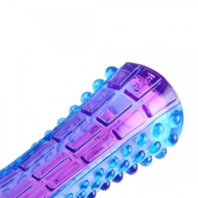 Іграшка для Собак Gigwi Push To Mute зі Звуком, що вимикається Фіолетовий / Синій 20 см GiGwi