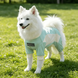 Комбинезон для защиты собак от солнца KOOGAL, Green Mint, XL, 22-30 см, 45 см, 31 см