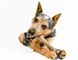 Жувальна кістка для собак Pet Qwerks Zombie BAMBOO BarkBone зі смаком арахісового масла, Large