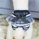 Багаторазовий підгузок для сук Derby Cute bow, Striped, S, 20 см