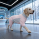 Комбинезон для защиты собак от солнца KOOGAL, Pink, L, 24 см, 38 см, 30 см