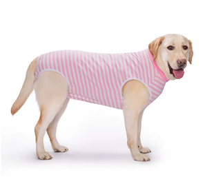 Послеоперационный боди для собак LOVEPET Pink white stripe